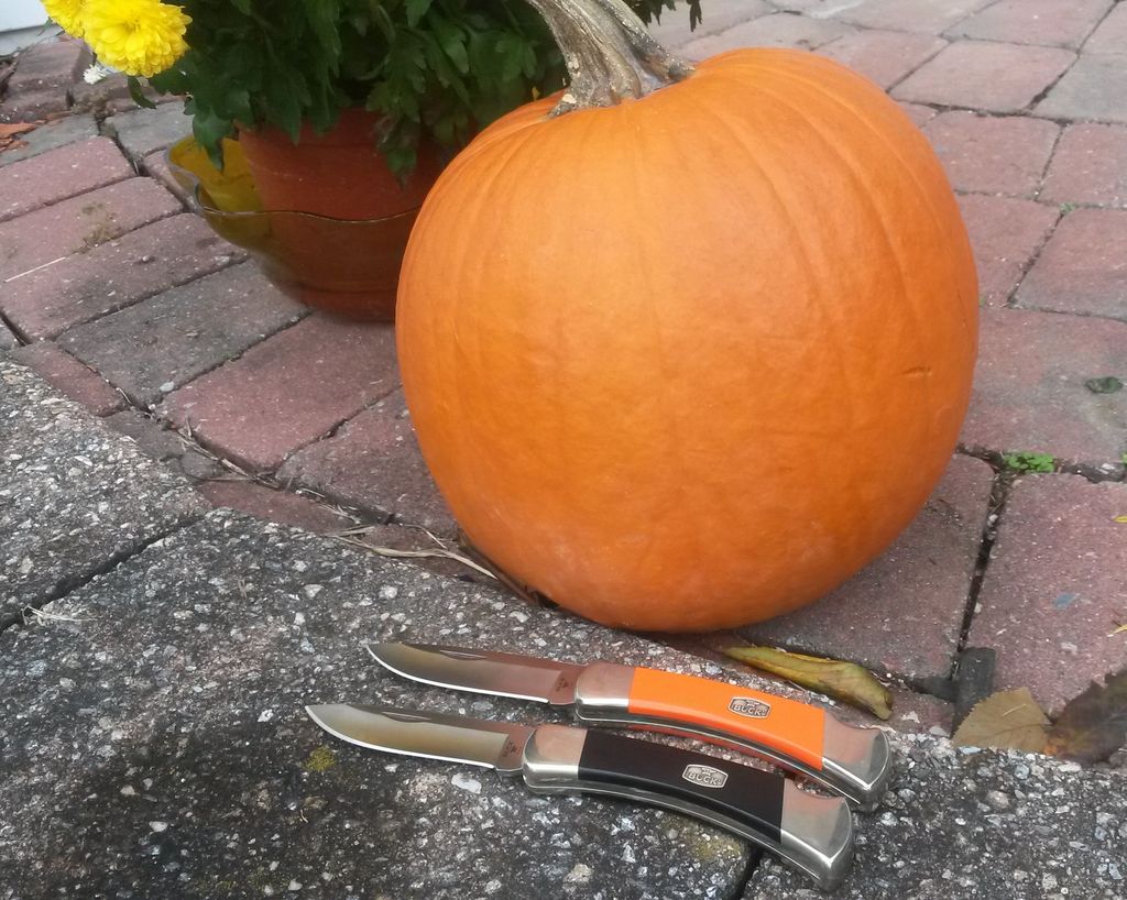 pumpkn_zpsmsemytwz.jpg