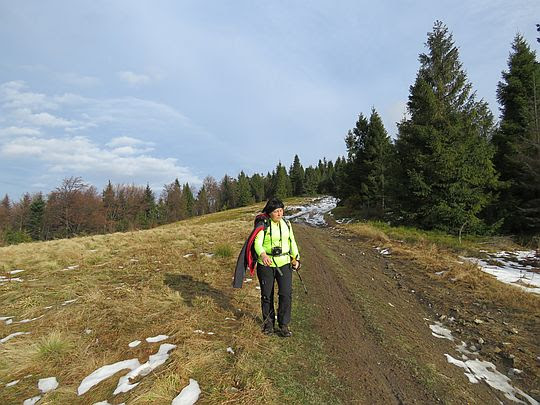 Polana między Jasieniem i Kobylicą. Polana między Jasieniem i Kobylicą.