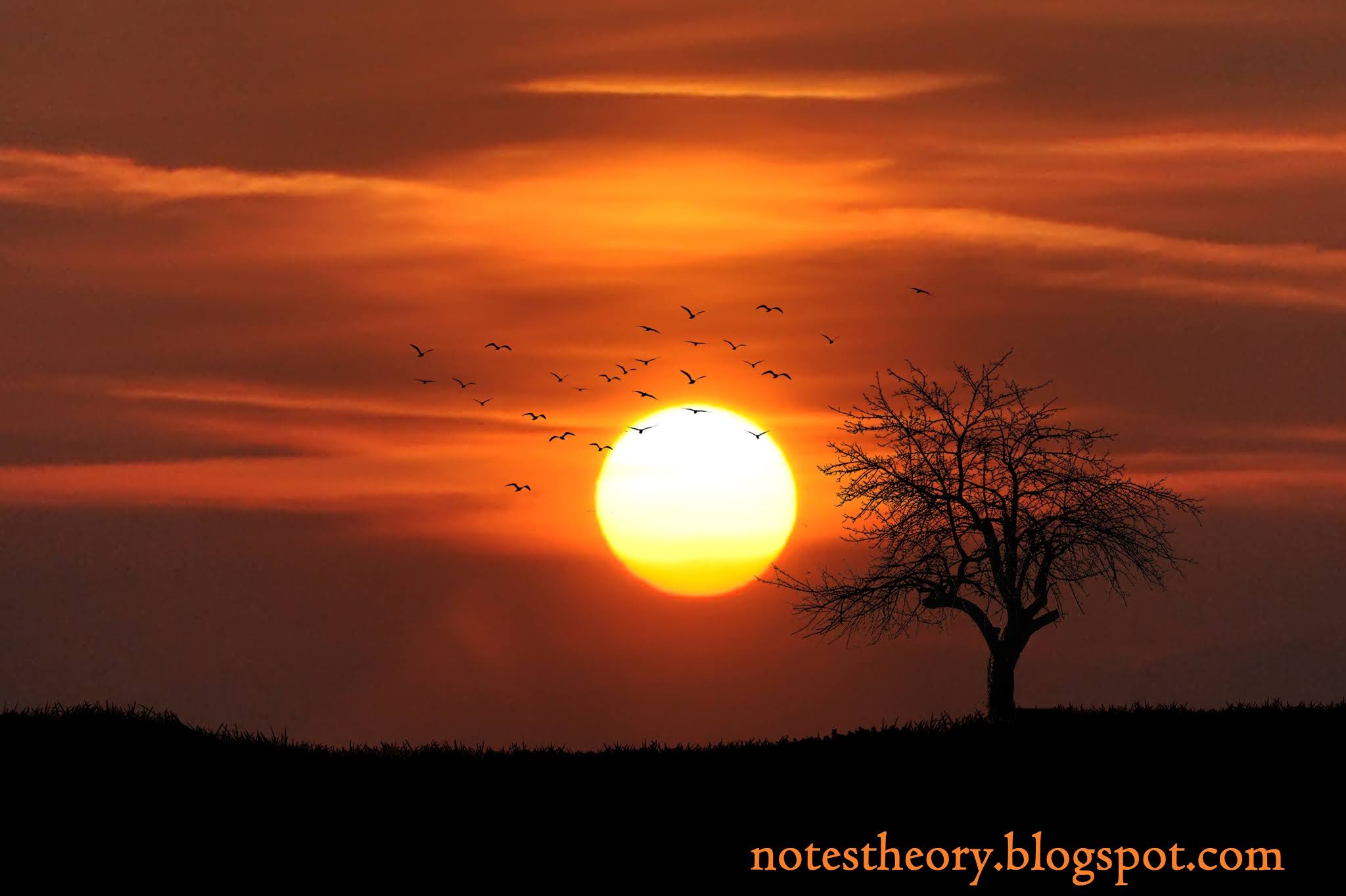 What is the sun? Definition of sun, What is a solar storm? What is the