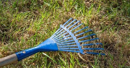 Garden and Yard: How to Rake Your Lawn without Damaging the Grass