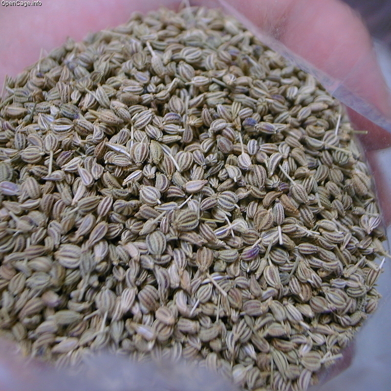 9 Unknown Health Benefits of Carom Seeds (Ajwain) Swami Dayanand