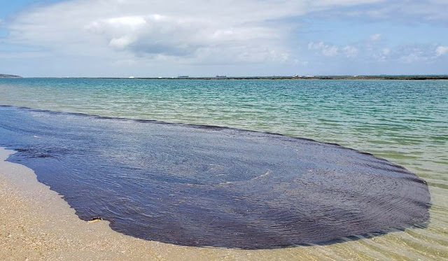 PF cumpre mandados contra suspeitos de derramamento de óleo que atinge o Nordeste