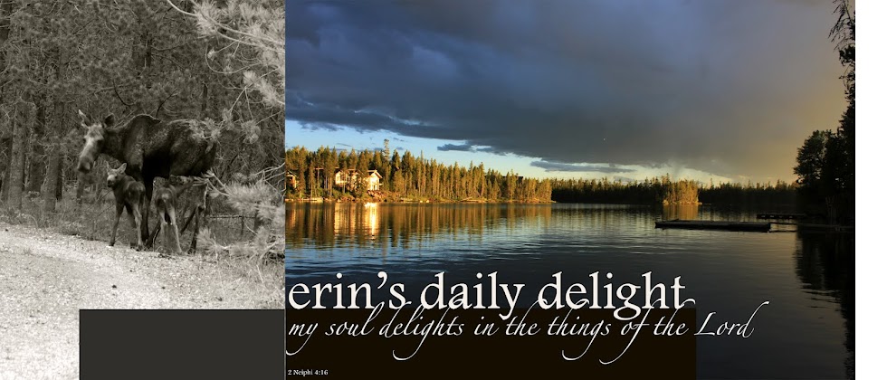 erin's daily delight