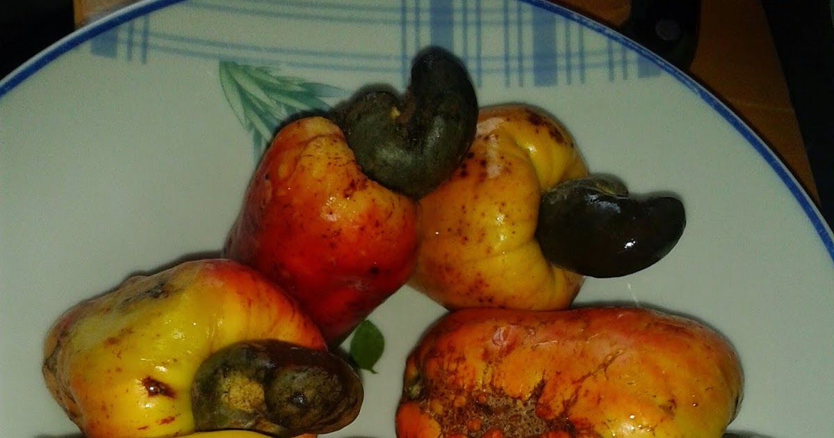 View Jawapan Teka Teki Buah Apa Yang Takut Dimakan