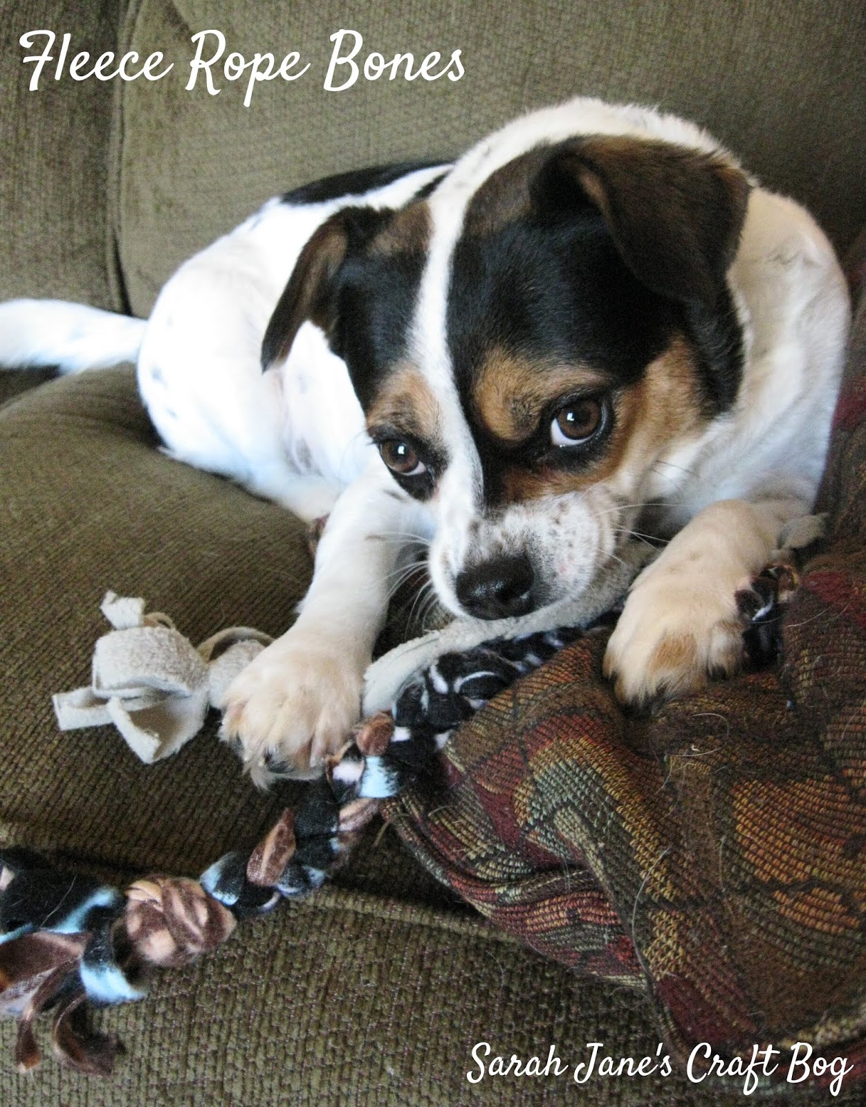 Fleece Rope Bones