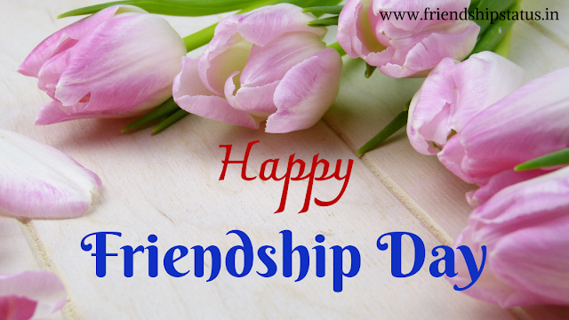 Happy Friendship Day Quotes