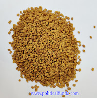 Fenugreek seed HD image download