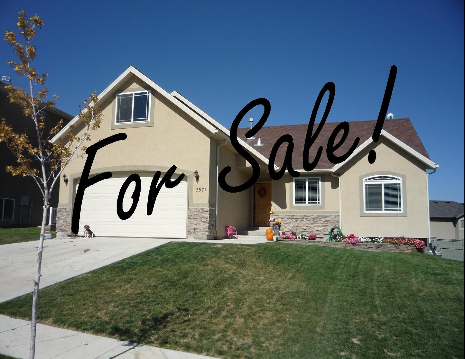 Kari Dye, Utah Realtor New Listing in The Ranches at Eagle Mountain!