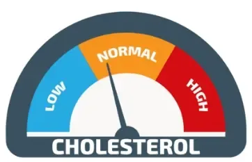 Common Causes of High Triglycerides Common Causes of High Triglycerides