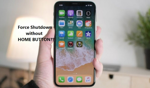 How to force shutdown iPhone without home button?