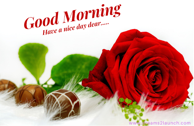 good morning with red rose