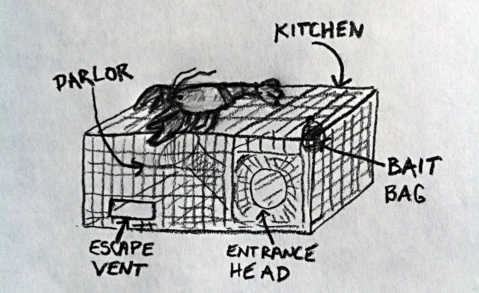 Life in the Slow Lane (The Pearl) Lobster Traps