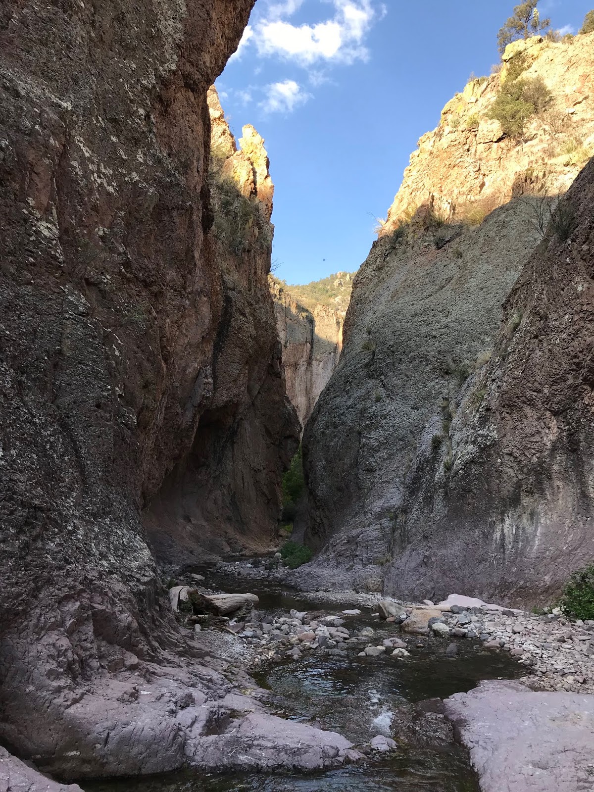 Southern New Mexico Explorer Mineral Creek, Cooney Canyon Gila