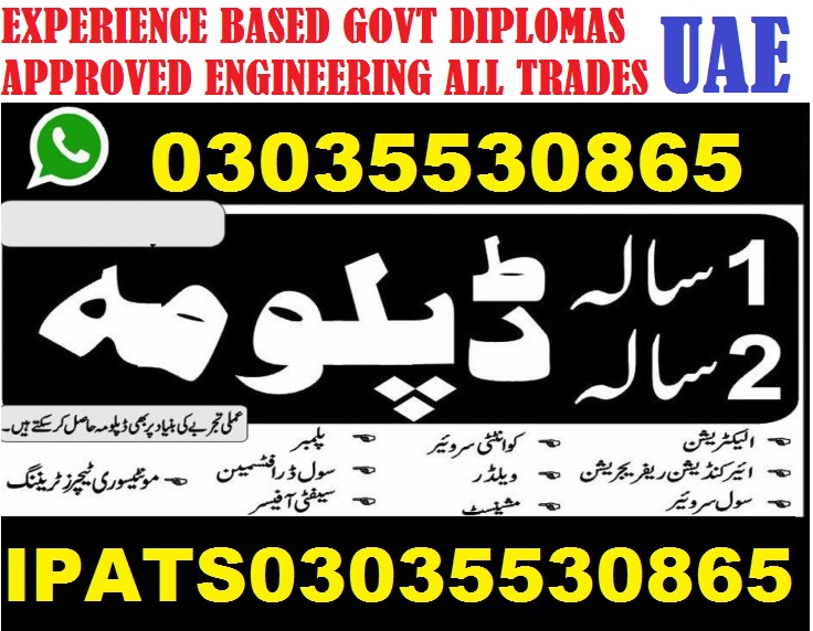 DAE Diploma/Certificate Hasil krain Experience ki Bunyad Pr Gov Approved