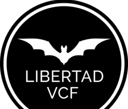 Libertad Valencia CF, o la búsqueda por volver a los orígenes en un club histórico