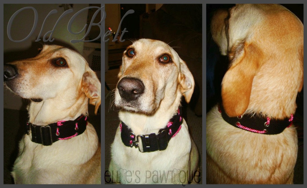 Ellie's Pawtique Homemade Dog Collars