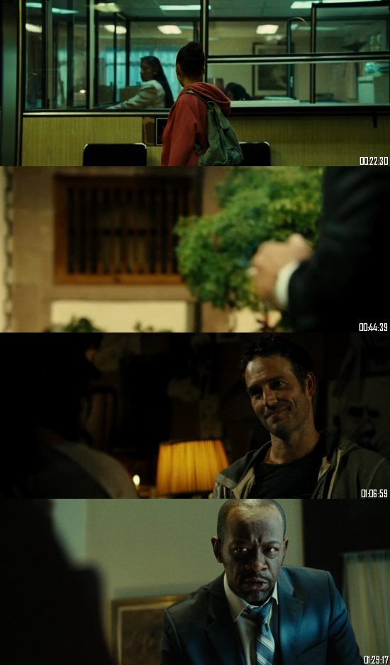 Colombiana 2011 BRRip 720p 480p Dual Audio Hindi English Full Movie Download