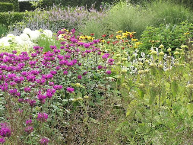 rabata bylinowa, perennial border, trawy w ogrodzie