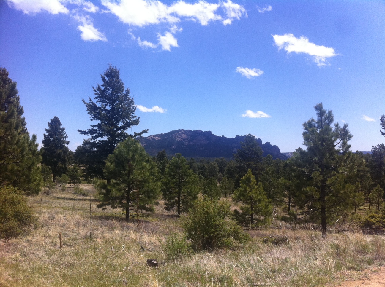 foxandthird: Long Scraggy Peak, Pike NF hike