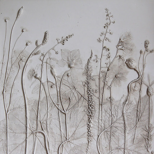 beautiful flower fossill artwork by Rachel Dein beautiful flower fossill artwork by Rachel Dein