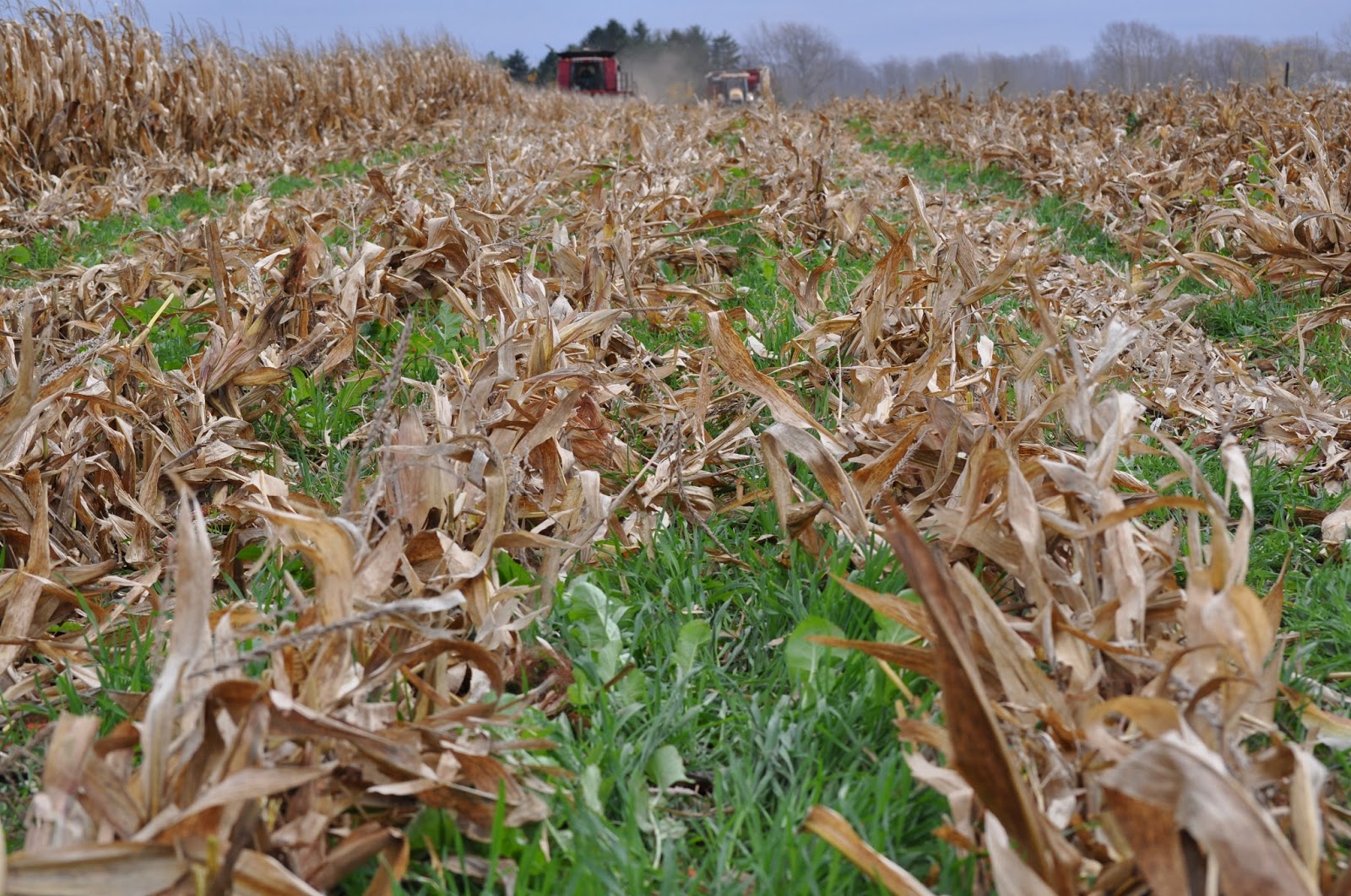 HyMark High Spots: Rolling Rye