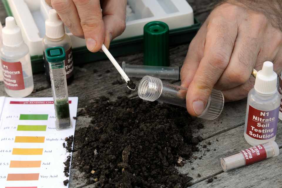 How to Raise pH in Soil Organically