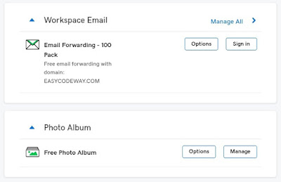 Manage GoDaddy workspace email