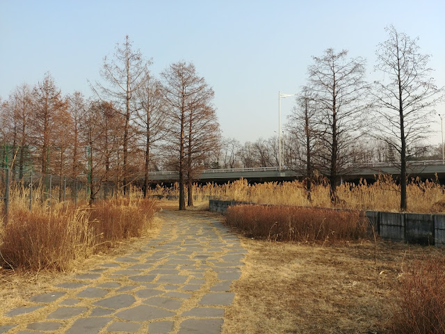 성내유수지 공원