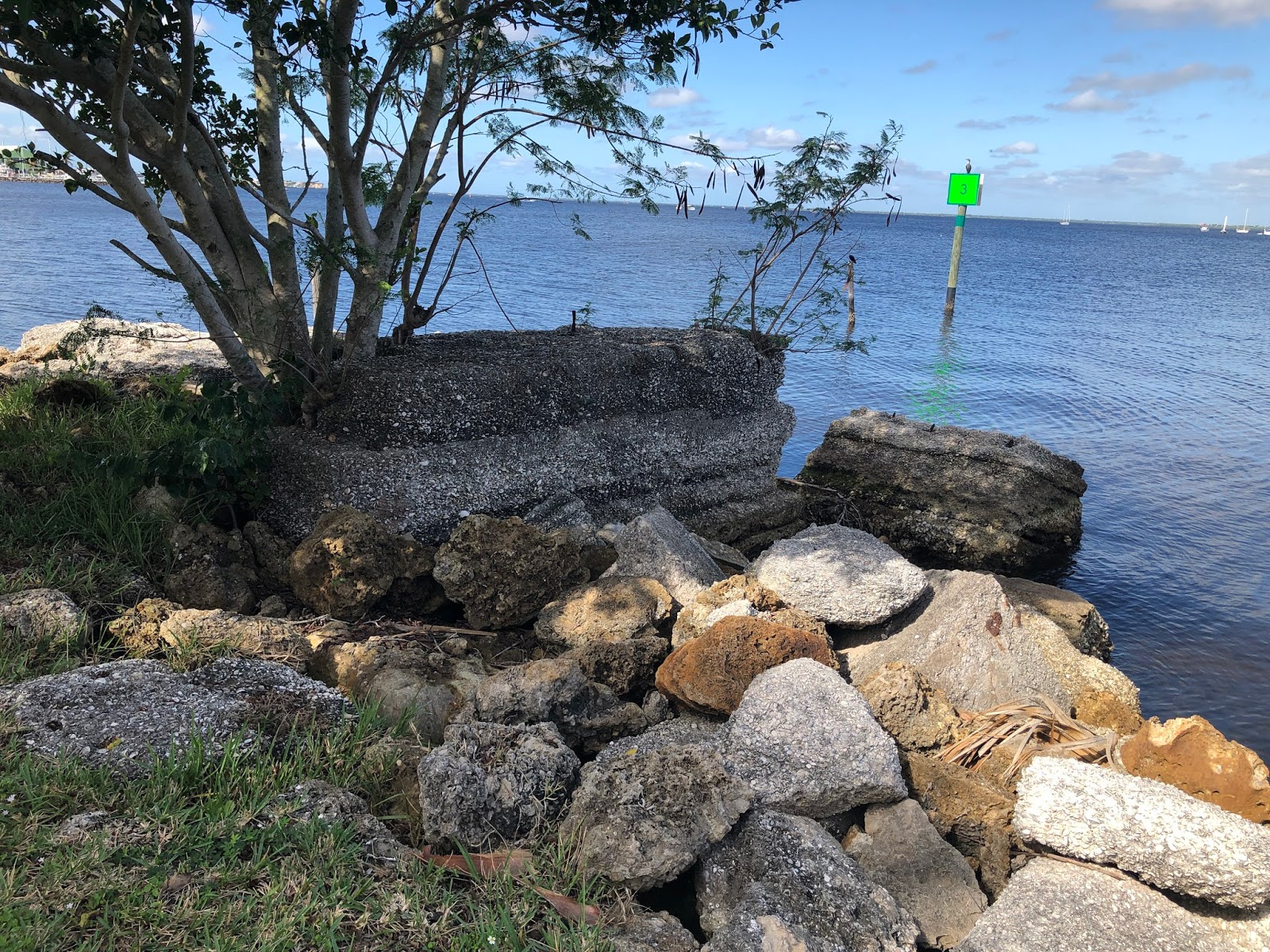 The Punta Gorda History Center Blog Remnants of the Past Near the