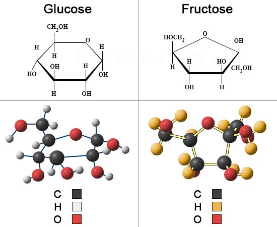 Фруктоза селиванова. Молекулярное строение фруктозы. Фруктоза строение молекулы. Молекулярная формула фруктозы. Структура молекулы фруктозы.
