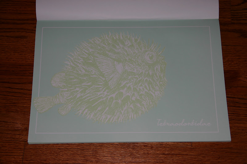 Cottage Blue Designs Coastal Paper Placemats