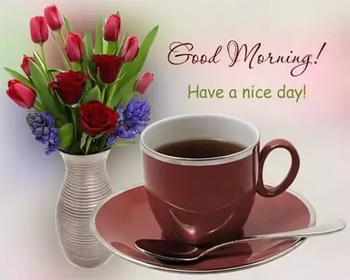 beautiful good morning images in hd