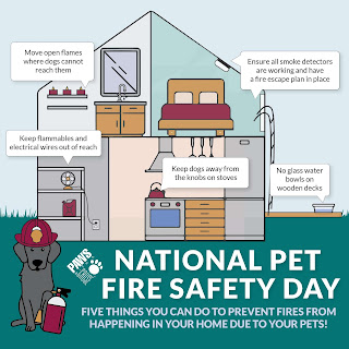 National Pet Fire Safety Day HD Pictures, Wallpapers