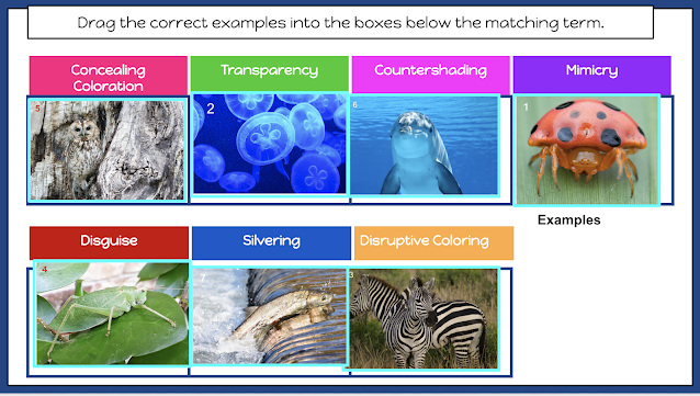 escape rooms for distance learning