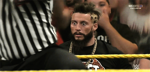 enzo1.gif