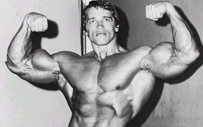 Arnold Schwarzenegger | Body Shape