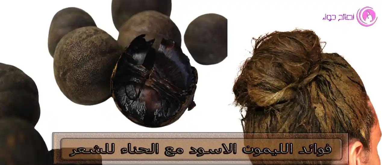 فوائد الليمون الاسود مع الحناء للشعر فوائد الليمون الاسود مع الحناء للشعر