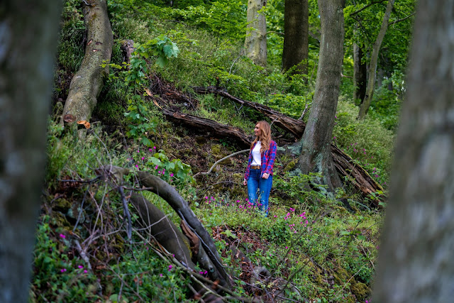 Lutherweg von Leisnig nach Döbeln - Wandern in Sachsen - Region Leipzig - Burg Mildenstein - Kloster Buch - Wanderung 14