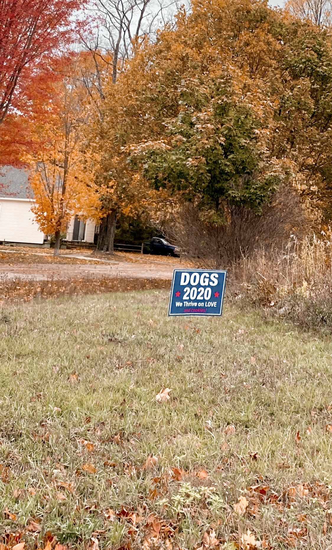Homemade Political Signs from Northern Michigan | biblio-style.com