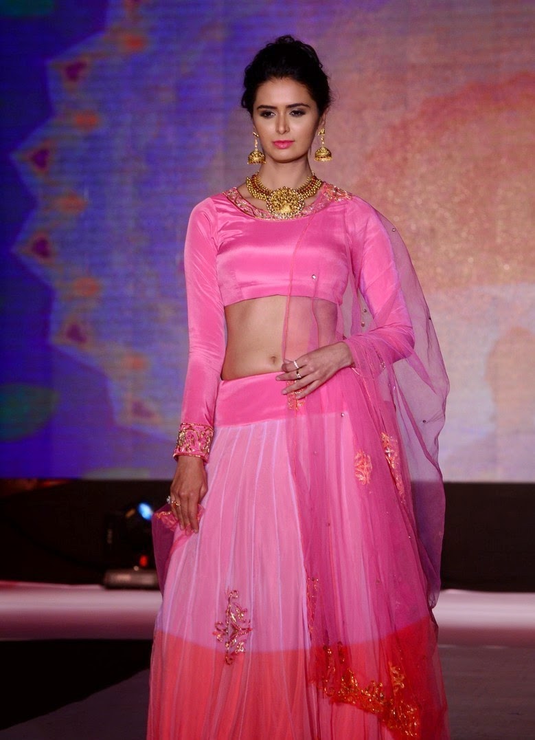Actress Meenakshi Dixit Latest Fashion Show Stills - Cine Gallery
