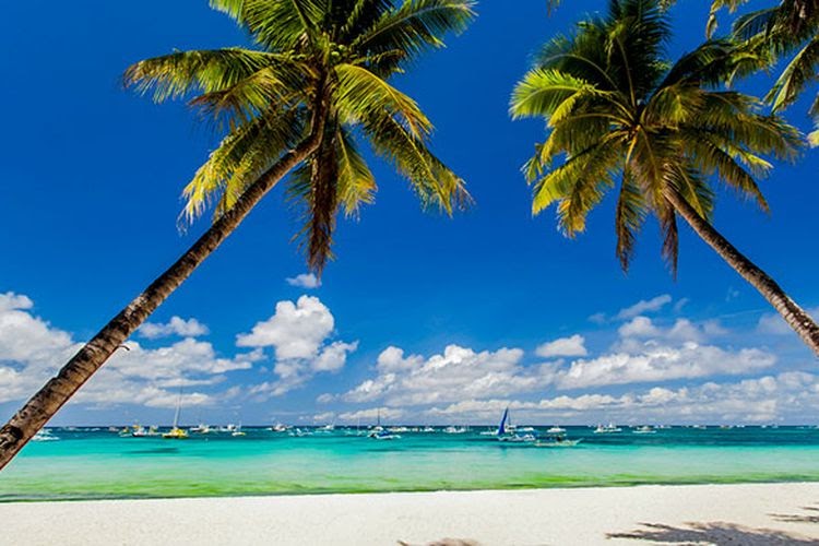 Ekosistem Pantai : Ciri-ciri, Komponen, Jenis, dan Manfaatnya