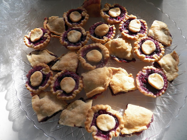 Mixed Berry Bubbly Pies