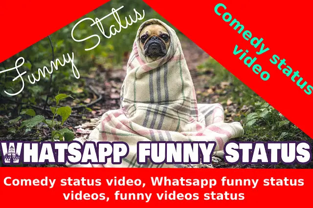 Whats App Funny Videos