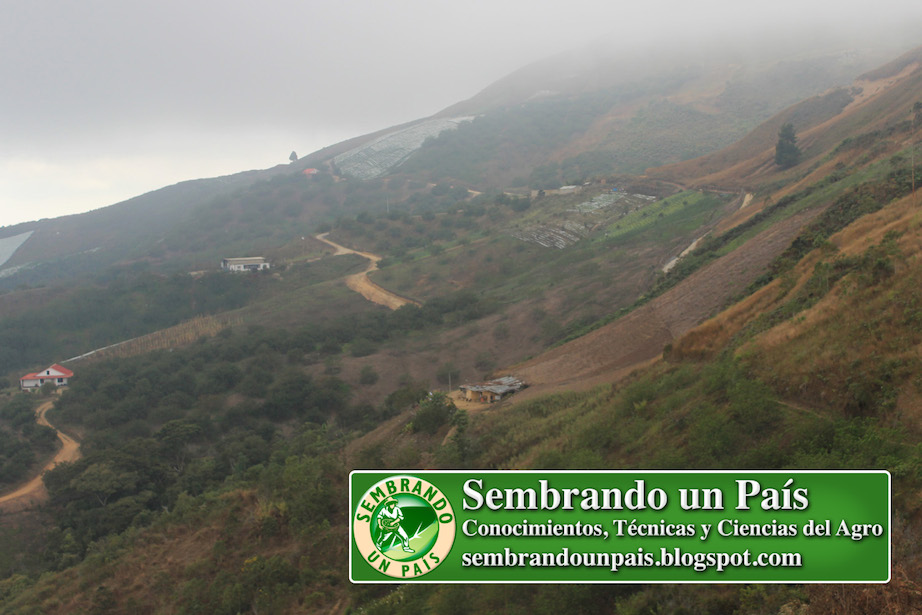 paisaje agrícola El Jarillo Estado Miranda