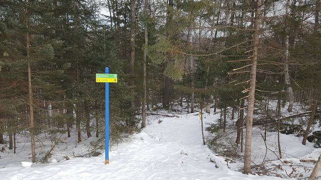 Sentier La Poirier pour se rendre au mont Loup Garou
