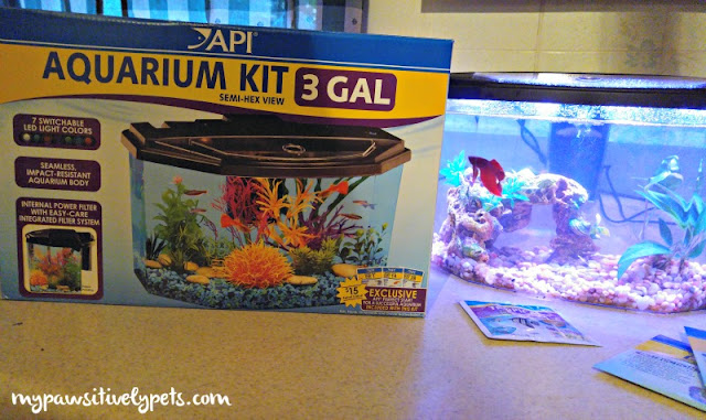 API Fishcare Aquarium Kits #APIfish
