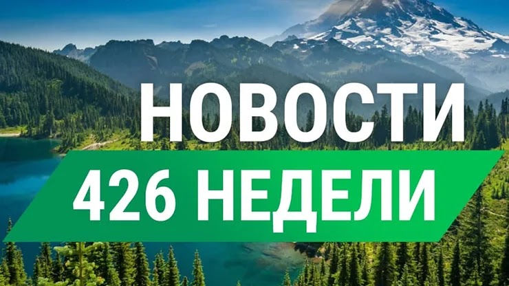 Еженедельный дайджест от СуперКопилки Еженедельный дайджест СуперКопилки