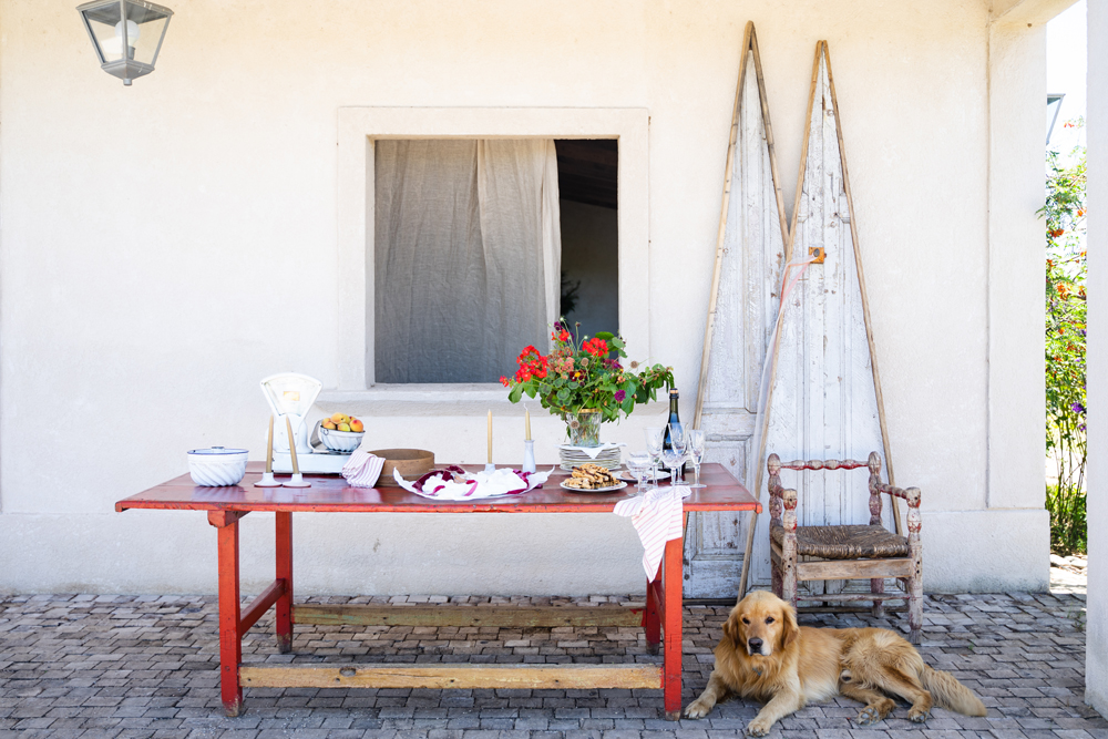 Toto natividad saludo kay coco, naibalik ang aksyon sa pinas Especial Sabores de Navidad 2015 de Alma Singer / Alma Singer