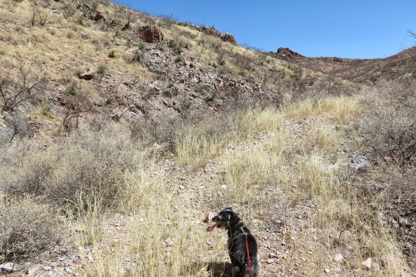 Where's Liz? 2014: Slaughter Ranch, San Bernadino and Leslie Canyon ...