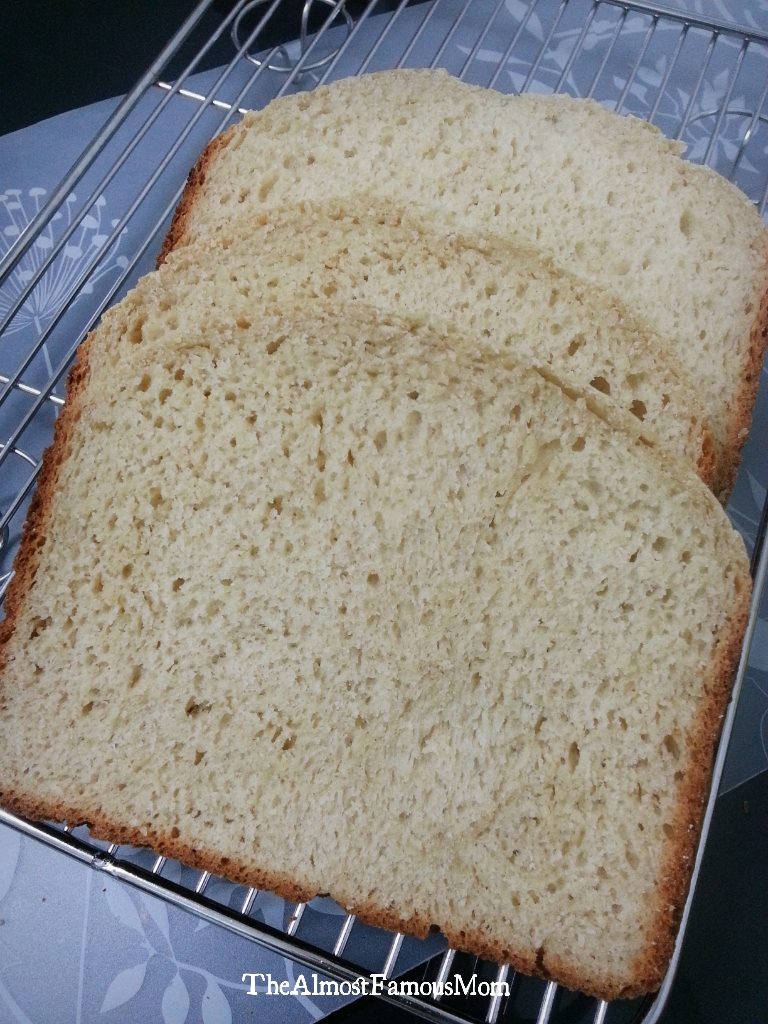 The Almost Famous Mom BG 100 Loaf (Oat Bran Loaf)